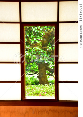 京都市仙入寺別館雲龍院鮮綠 113139941