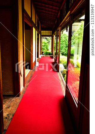 京都市仙入寺別館雲龍院鮮綠 113139947