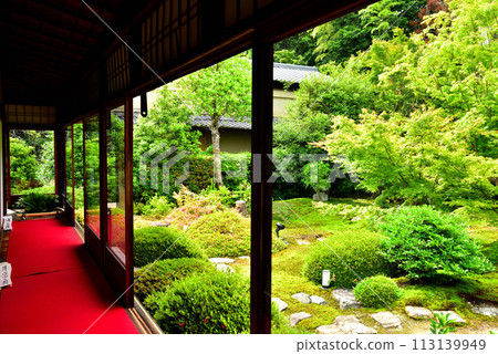 Kyoto City Sennyuji Temple Annex Unryuin Fresh Green Kyoto City Sennyuji Temple Annex Unryuin Fresh Green 113139949