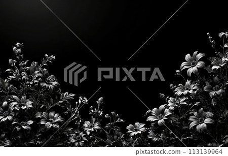 Black and white photo where blossoming flowers stand out with elegance on black backdrop. Offers timeless aesthetic that can enhance any space or project requiring touch of natural beauty 113139964