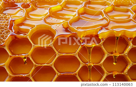 Macro shot of honeycomb saturated with amber honey. Light glistens on sticky surface, geometric perfection and rich color tones. designs focusing on wildlife, environment or natural food sources 113140063
