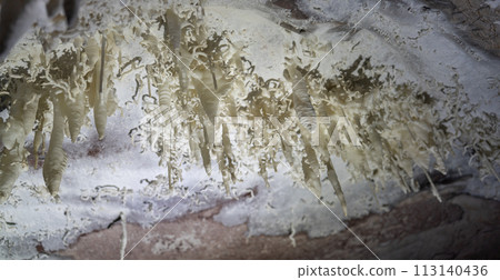 Mysterious Cave Formations Resembling Underwater Life 113140436