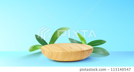 Wooden product podium with green grass leaf 113140547