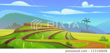 Asian rice field landscape 113140606