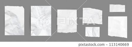 Paper pieces with wrinkles and torn edges. 113140669