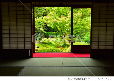 京都市仙入寺別館雲龍院鮮綠 京都市仙入寺別館雲龍院鮮綠 113140679