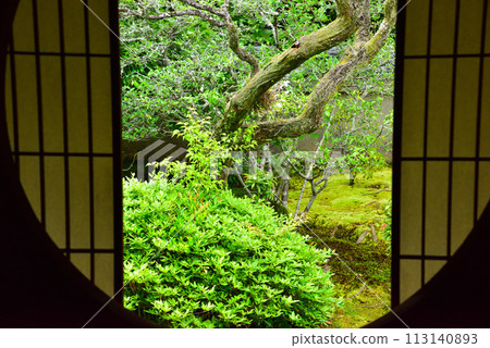 京都市仙入寺別館雲龍院鮮綠 京都市仙入寺別館雲龍院鮮綠 113140893