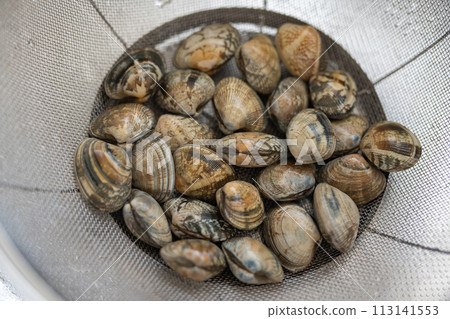 蛤沙去除 113141553