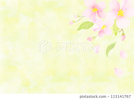 水彩觸感櫻花背景素材水彩紋理 水彩觸感櫻花背景素材水彩紋理 113141767