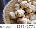 Jerusalem artichoke 113141771