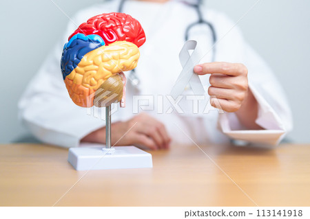 doctor with grey ribbon and human Brain anatomy model. Brain Cancer Awareness May month, World Brain Tumor day, Brain Stroke, Dementia, alzheimer, parkinson and world mental health concept doctor with grey ribbon and human Brain anatomy model. Brain Cancer Awareness May month, World Brain Tumor day, Brain Stroke, Dementia, alzheimer, parkinson and world mental health concept 113141918