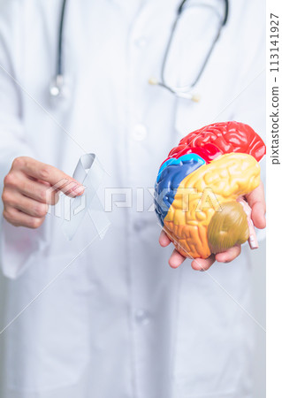 doctor with grey ribbon and human Brain anatomy model. Brain Cancer Awareness May month, World Brain Tumor day, Brain Stroke, Dementia, alzheimer, parkinson and world mental health concept doctor with grey ribbon and human Brain anatomy model. Brain Cancer Awareness May month, World Brain Tumor day, Brain Stroke, Dementia, alzheimer, parkinson and world mental health concept 113141927
