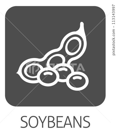 A Soybean Soy Bean Food Allergen Icon Concept A Soybean Soy Bean Food Allergen Icon Concept 113143997