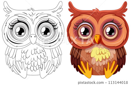 Colorful and Sketchy Owl Illustrations 113144018