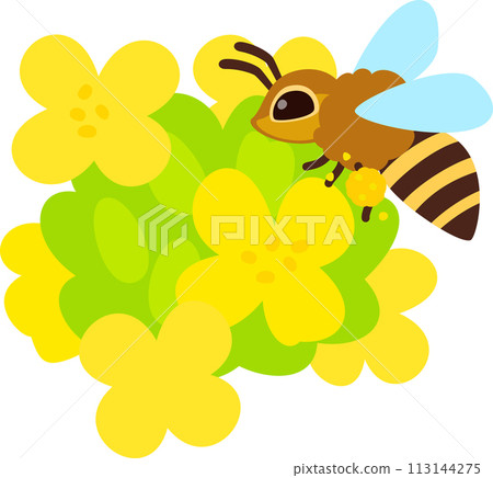 Bee with pollen on its legs Bee with pollen on its legs 113144275