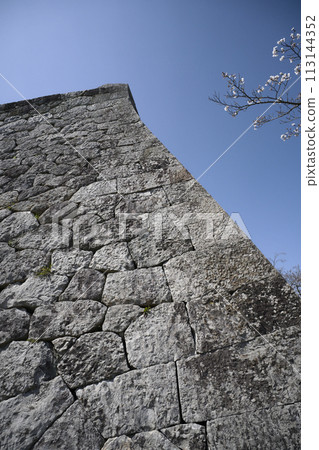 Yonago Castle Ruins 113144352