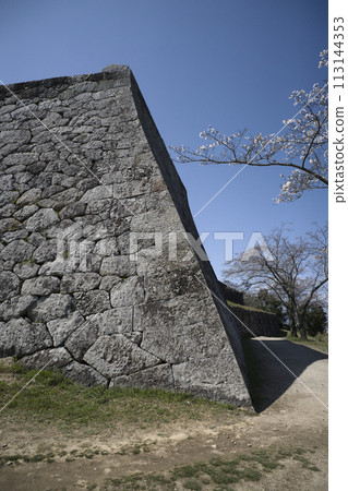 Yonago Castle Ruins 113144353