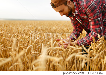 Smiling bearded man holding ears of wheat on a background a wheat field. Happy agronomist farmer cares about his crop for the rich harvest on sunset 113144362