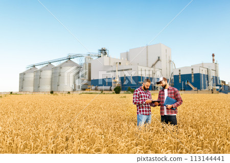 Two farmers stand in a wheat field with tablet. Agronomists discuss harvest and crops among ears of wheat with grain terminal elevator on background Two farmers stand in a wheat field with tablet. Agronomists discuss harvest and crops among ears of wheat with grain terminal elevator on background 113144441