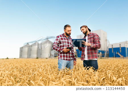 Two farmers stand in a wheat field with tablet. Agronomists discuss harvest and crops among ears of wheat with grain terminal elevator on background Two farmers stand in a wheat field with tablet. Agronomists discuss harvest and crops among ears of wheat with grain terminal elevator on background 113144450