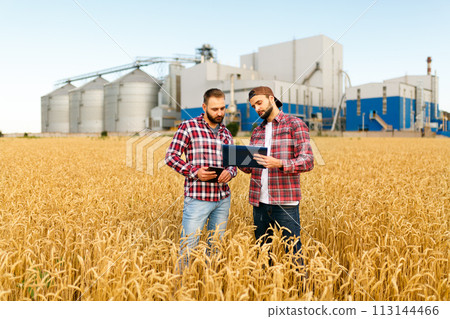 Two farmers stand in a wheat field with tablet. Agronomists discuss harvest and crops among ears of wheat with grain terminal elevator on background Two farmers stand in a wheat field with tablet. Agronomists discuss harvest and crops among ears of wheat with grain terminal elevator on background 113144466
