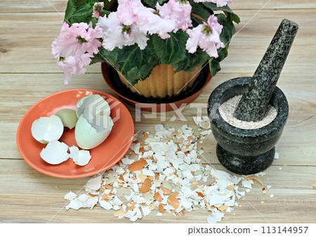 Crushed egg shells enrich the soil with calcium and other elements. Crushed egg shells enrich the soil with calcium and other elements. 113144957