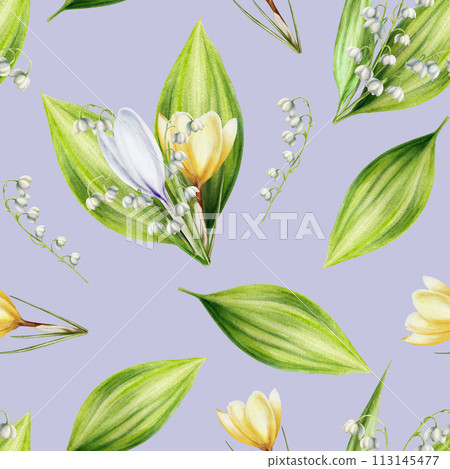 Watercolor seamless pattern with bouquet of yellow and white blooming crocus and lily of the valley flowers isolated on background. Spring and easter botanical hand painted saffron illustration. For Watercolor seamless pattern with bouquet of yellow and white blooming crocus and lily of the valley flowers isolated on background. Spring and easter botanical hand painted saffron illustration. For 113145477