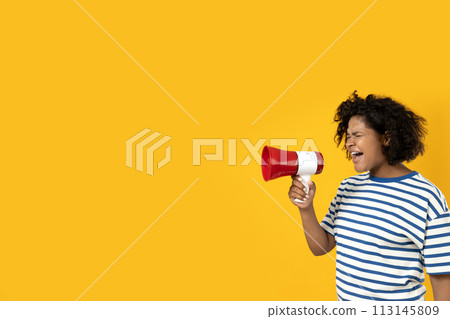 A young African-American woman with a loudspeaker in her hands A young African-American woman with a loudspeaker in her hands 113145809