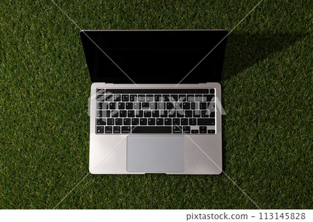 Laptop with notebooks on the grass, top view. Laptop with notebooks on the grass, top view. 113145828