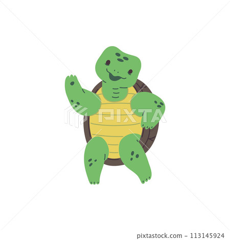 Cute happy green sea turtle dancing, vector cartoon funny character performance, reptile animal, exotic amphibian pet Cute happy green sea turtle dancing, vector cartoon funny character performance, reptile animal, exotic amphibian pet 113145924