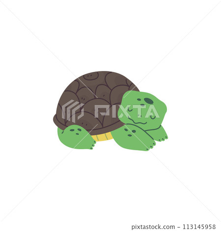 Resting turtle minimalist vector illustration 113145958