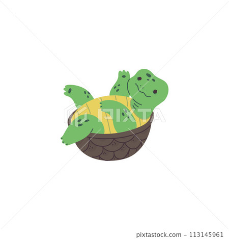 Joyful green turtle vector for children's design, isolated illustration. 113145961