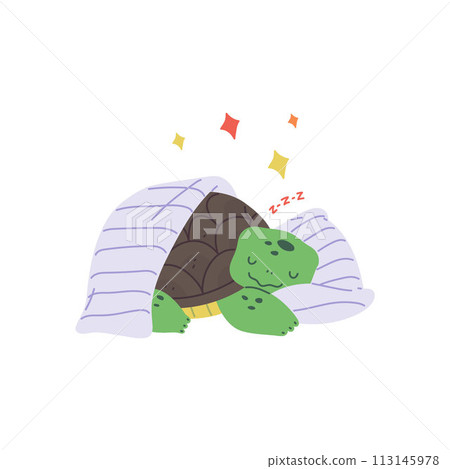 Happy turtle sleeping on a pillow - children's vector illustration. Happy turtle sleeping on a pillow - children's vector illustration. 113145978