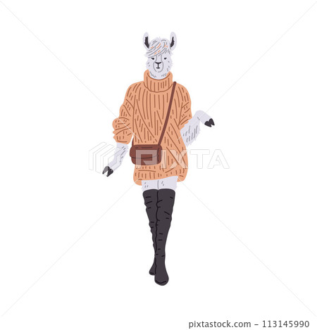 Chic alpaca in sweater and boots vector illustration 113145990