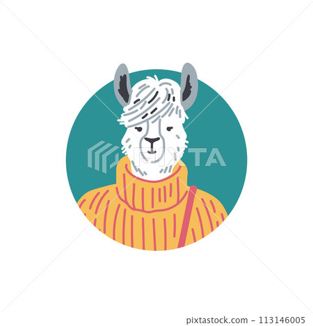 Alpaca in turtleneck sweater vector illustration 113146005