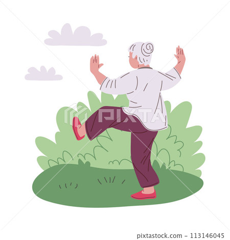 Vector of Tai Chi classes for older women. Peaceful outdoor exercise. 113146045