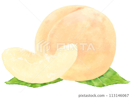 一個逼真的桃子和一片(帶葉子)的插圖 一個逼真的桃子和一片(帶葉子)的插圖 113146067