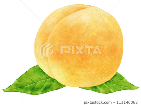 一個逼真的黃桃（帶葉子）的插圖標題更改 113146068