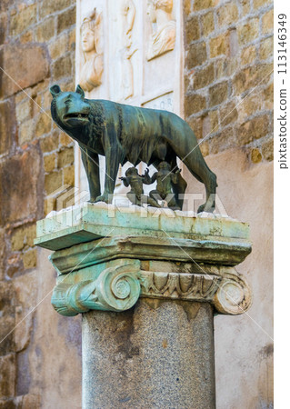 The Capitoline Wolf in Rome, Italy The Capitoline Wolf in Rome, Italy 113146349