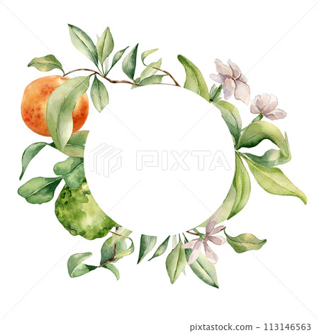 Circle frame with assorted citrus ripe. White flowers and fruit tree branches watercolor illustration isolated. Hand drawn grapefruit and jasmine in botanical sketch style for print products, package 113146563