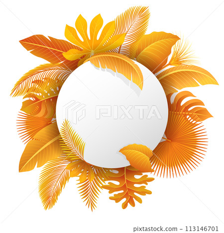 Sign with Text Space of Turn Yellow Tropical Leaves. Suitable For Nature Concept, Vacation, and Autumn, Vector Illustration 113146701