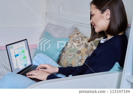 Young woman using laptop sitting on sofa at home Young woman using laptop sitting on sofa at home 113147194