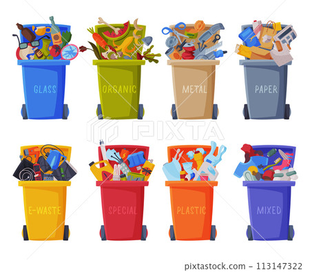 Waste Sorting, Set of Trash Cans with Sorted Garbage, Segregation and Separation Rubbish Disposal Refuse Bins Vector Illustratio 113147322