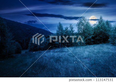 deciduous trees on a grassy meadow at night. magical carpathian landscape in full moon light deciduous trees on a grassy meadow at night. magical carpathian landscape in full moon light 113147531