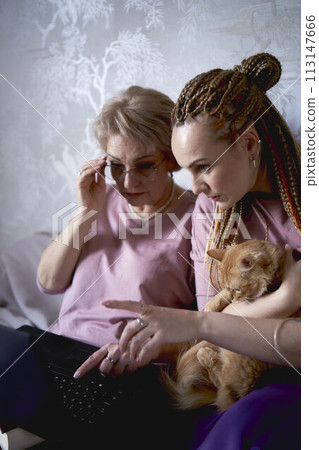 an elderly woman works with laptop at home and show her daughter what she have done 113147666