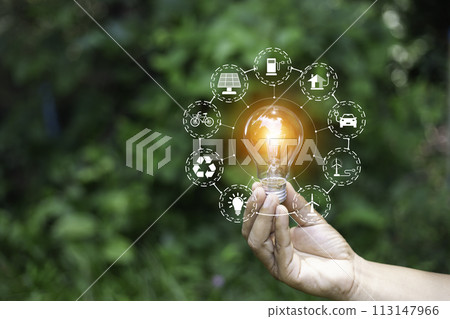 eco friendly energy. Innovation technology eco green concept. Icon bulb energy sources for renewable on green blur background.Concept with innovation inspiration. Idea innovative from the big data. 113147966