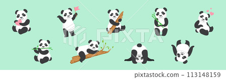 Funny Panda Animal with Black and White Coat Vector Set 113148159