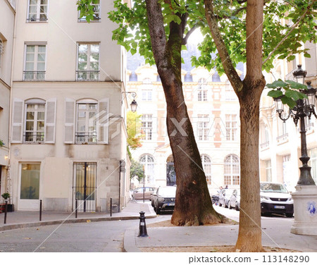Street trees and small square Street trees and small square 113148290