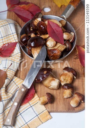 Several Imleria Badia or Boletus badius mushrooms commonly known as the bay bolete, vintage knife and pan with mushrooms on wooden cutting board.. 113149399