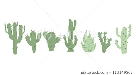 Cactus set isolation on white background. Mexican cacti and aloe. Exotic various plants collection Vector hand drawn illustration 113149562